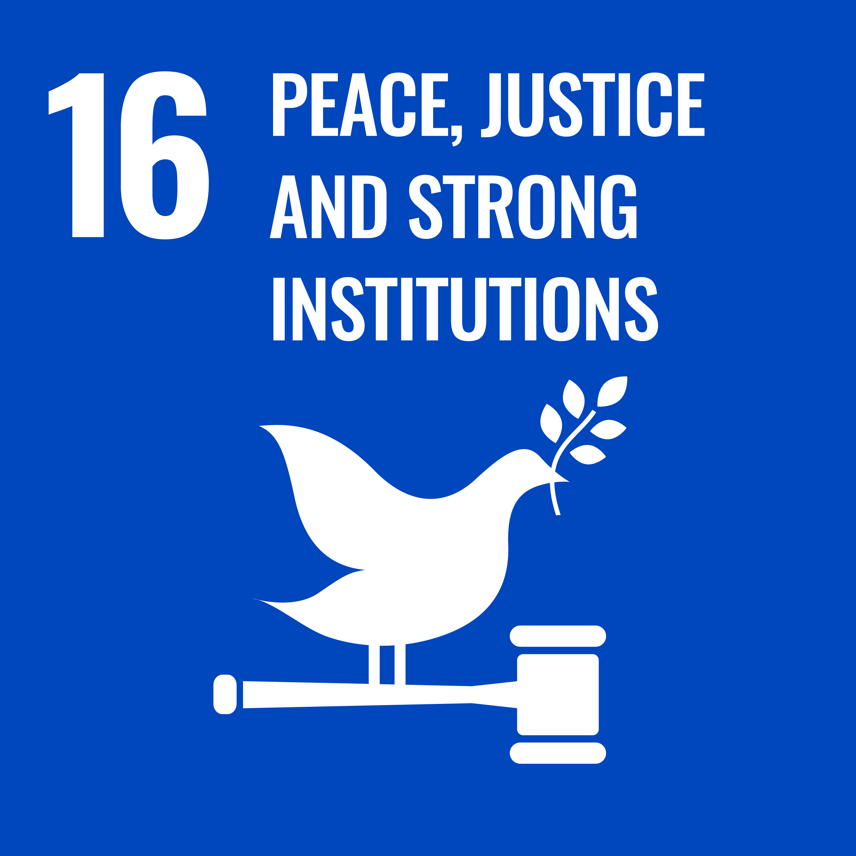 Peace, Justice and Strong Institutions (SDG 16)